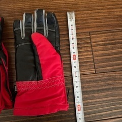 スキーグローブの画像