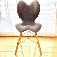 スタイルチェア イーエル　健康Chair《 グレー 》