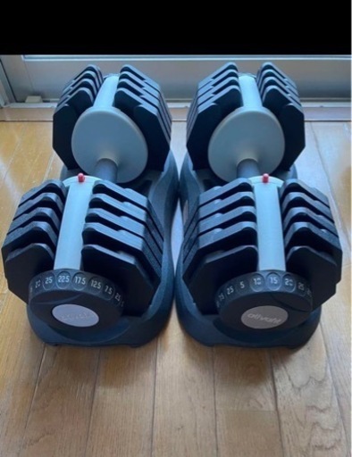 ダンベル スポーツ フィットネス トレーニング ワークアウト