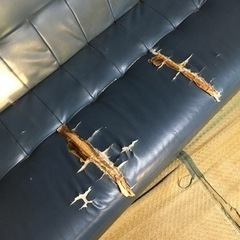 ソファ、椅子、机などの画像