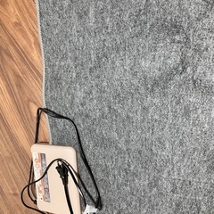 （受渡者決まりました）ホットカーペットの画像