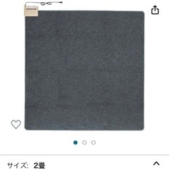 （受渡者決まりました）ホットカーペットの画像