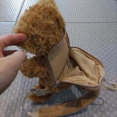 くまちゃん☆リュックの画像