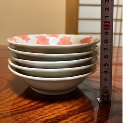 【お渡し予定の方が決まりました】食器皿5枚セット《未使用》の画像