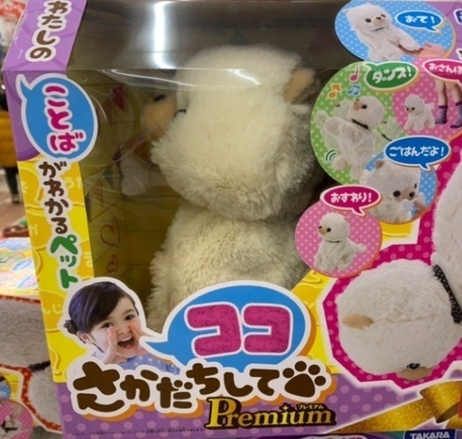 【クリスマスプレゼントに】ココ　逆立ちして　プレミアム