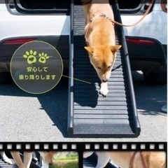 ペット用スロープ  ペットステップの画像