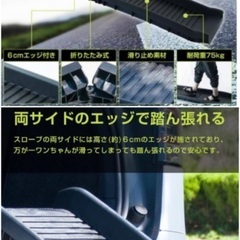ペット用スロープ  ペットステップの画像