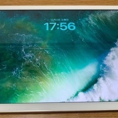 ipad Sim対応