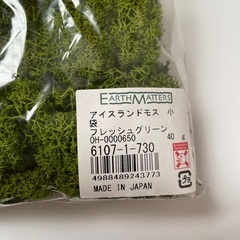 アイスランドモス　スプリンググリーン　フレッシュグリーン　苔　モス2袋セットの画像