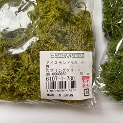 アイスランドモス　スプリンググリーン　フレッシュグリーン　苔　モス2袋セットの画像