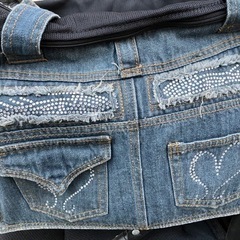 ペットキャリーカート　（美品）の画像
