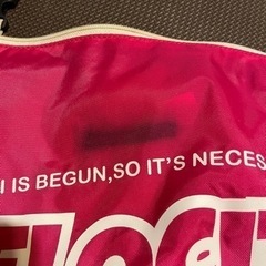 ジュニア　スキーケース　110の画像