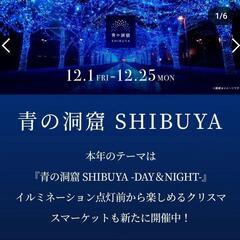【男女歓迎】イルミネーションデートの予行練習にお付き合いいただきたいです!! - 目黒区