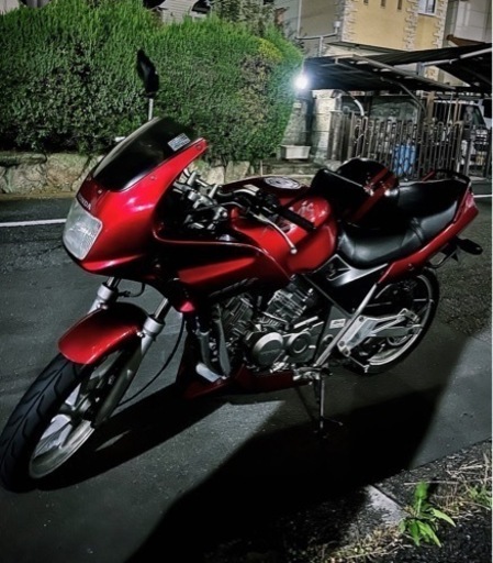 ゼルビス250 美車