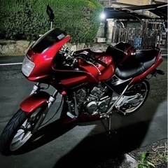 ゼルビス250 美車