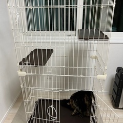 猫ゲージ　スリムタイプ