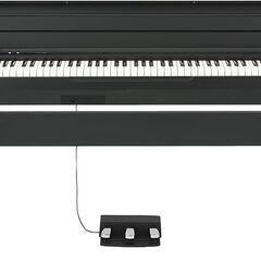 【専用出品】KORG コルグ 電子ピアノ LP180 88鍵 ブ...