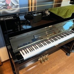 KAWAI BS20sp