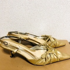 ゴールドミュールの画像