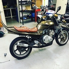 jade250の画像