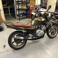jade250の画像