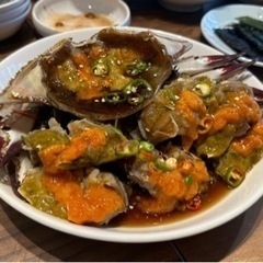 旅行好きの仲間を募集！！ - その他