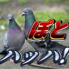 気軽に話したり遊べる友達が欲しい(´･ω･`) − 群馬県