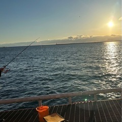 釣り仲間募集