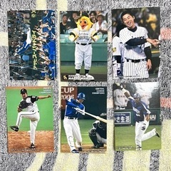 プロ野球チップス カードの画像