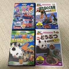 はたらく車　動物・海の生き物DVDセット
