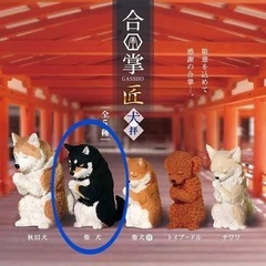 合掌 匠 犬拝 柴犬 フィギュア