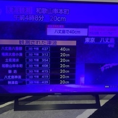 49型ソニージャンクTVの画像