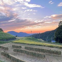 ☆自家製味噌作り☆　すべての素材が無農薬・無肥料・無除草剤の画像