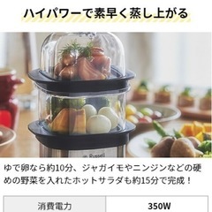 ほぼ新品！クイックミニスチーマーの画像