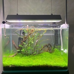 アクアリウム  熱帯魚飼育用品 一式