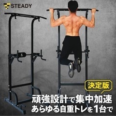 懸垂マシン　STEADY あげます！本日午前取りに来てくださる方優先！の画像
