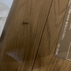 パナソニック　3畳用　ホットカーペットの画像