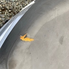 値下げ　ホンダdio AF18後期の画像