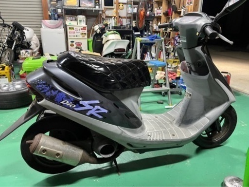 DIO シャキシャキ