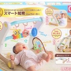 うちの赤ちゃん世界一 スマート知育ジム&ウォーカー（交渉中）の画像