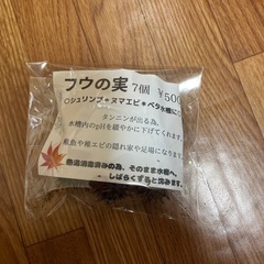 フウの実