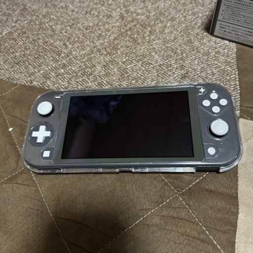 Switchライト　グレー
