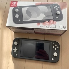 Nintendo Switch light 本体　美品