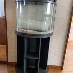 コトブキ　インテリア水槽