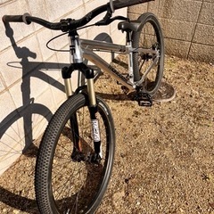 mongoose FIREBALL SS 20年モデル　マングースファイヤーボールの画像