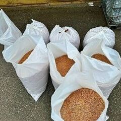 【お取引中、次回も掲載予定】おがくず　農業・畜産・酵素風呂・昆虫飼育にいかがですかの画像