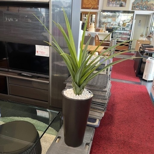 フェイクグリーン 観葉植物 アロエ インテリア ナチュラル フェイク グリーン