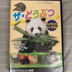 どうぶつDVD