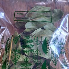 【値下げしました】無農薬ローリエ１０ｇ（乾燥）③