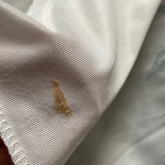 決まりましたの画像